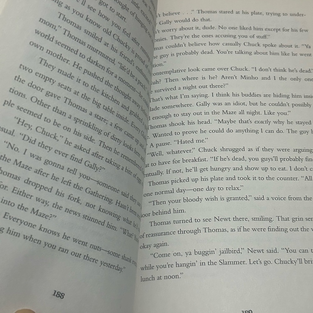 The Maze Runner 🏃 - Picture 3 of 4